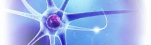 horizontall-nerve-cell-mobile