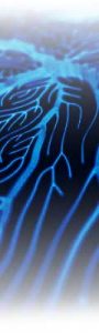 vertical-arteries-abstract