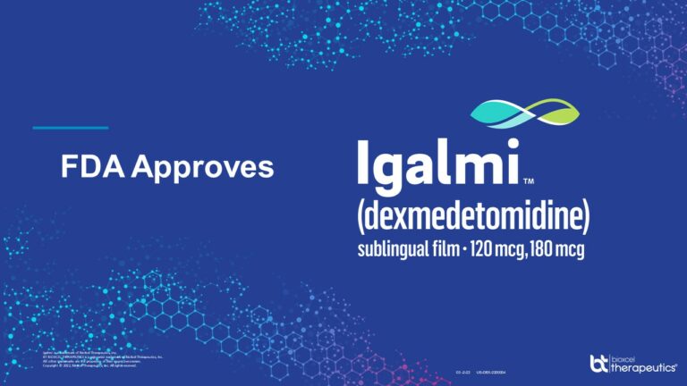 Corporate Website IGALMI Banner